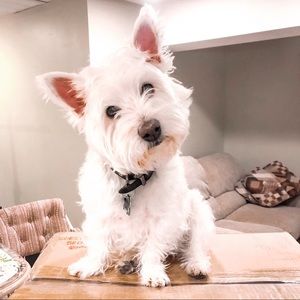 Meet your Posher, Katelin